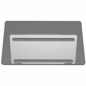 Dell Pro Plus P1425 14 Zoll Klasse WUXGA LED-Monitor - 16:10 Format - 35,6 cm (14 Zoll) Viewable - IPS-Technologie (In-Pla