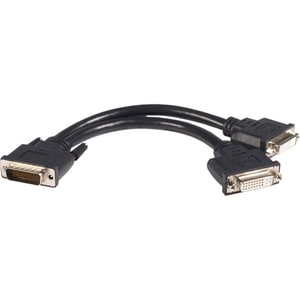 StarTech.com LFH 59 Male to Dual Female DVI I DMS 59 Cable - 2 x DVI-D (Dual-Link) Female - 1 x DMS-59 Male - Black