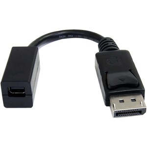 StarTech.com Cable de 15cm Adaptador DisplayPort Macho a Mini DisplayPort Hembra - Convertidor DP - Cable for Monitor, Por