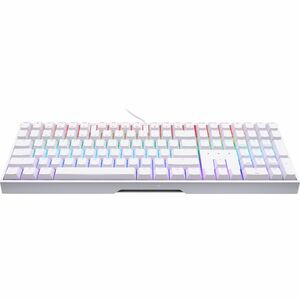 CHERRY MX BOARD 3.0 S Office and Gaming Wired Mechanical Keyboard - Full Size,Pale Gray,MX RED SILENT Switch