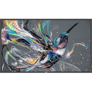 LCD Digital Signage Philips Q-Line 43BDL3511Q 1079,50 mm - 3840 x 2160 - Direct LED - 400 cd/m² - 2160p - USB - HDMI - DVI