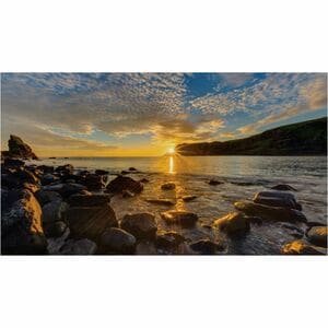 Samsung IF015R LCD Digital Signage Display - High Dynamic Range (HDR) - 640 x 360 - LED - 800 cd/m²Wireless LAN