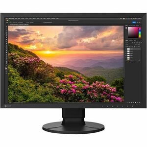 EIZO ColorEdge CS2400S 24" Class WUXGA LED Monitor - 16:10 - Black - 24.1" Viewable - In-plane Switching (IPS) Technology 