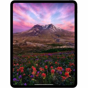 Apple iPad Pro (5th Generation) A2837 Tablet - 11" - Apple M4 - 8 GB - 256 GB Storage - 5G - Space Black - M4 Nona-core (9