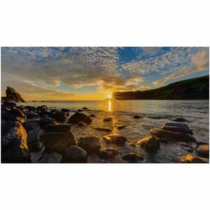 Samsung IF020R-V Digital Signage Display - High Dynamic Range (HDR) - 480 x 270 - LED