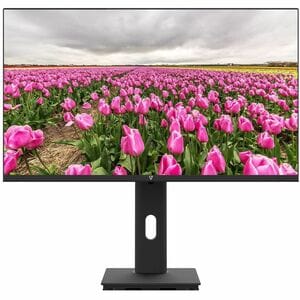 V7 L238V0-HAS-E 24" Class Full HD LED Monitor - 16:9 - Black - 60.5 cm (23.8") Viewable - In-plane Switching (IPS) Technol