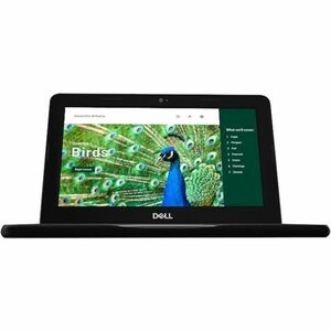 Dell Chromebook 3000 3120 11.6" Touchscreen Clamshell Chromebook - HD - Intel N-Series N100 - 4 GB - 64 GB Flash Memory - 