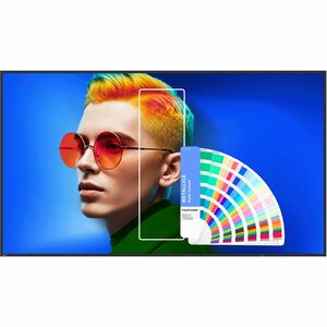 BenQ SL6504 | Pantone Validated Signage - 65" LCD - In-plane Switching (IPS) Technology - 24 Hours/7 Days Operation - ARM 