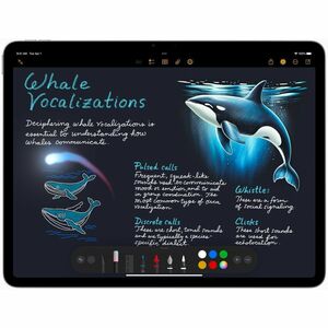 Apple iPad Air 11 (2025) Tablet - 11" - 8 GB - 128 GB Storage - Space Gray - M3 Octa-core (8 Core) - 2360 x 1640 - In-plan