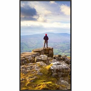 Sharp PN-E659 65" 4K UHD Professional Display - 64.50" LCD - Advanced Super Dimension Switch ( ADS ) - 16 Hours/ 7 Days Op