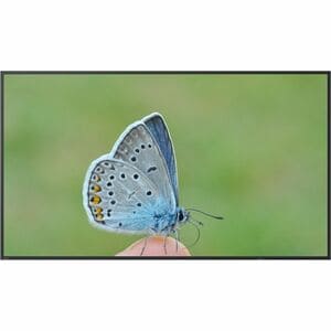 BenQ ST6504 1651 mm LCD Digital-Signage-Display - 18 Stunden / 7 Tage Betrieb - Energy Star - Advanced Super Dimension Swi