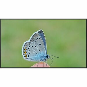 BenQ ST4304 43" LCD Digital Signage Display - 18 Hours/7 Days Operation - Energy Star - Advanced Super Dimension Switch ( 