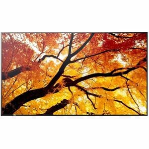 Sharp MultiSync PN-M432 Digital Signage Display - 42.50" LCD - In-plane Switching (IPS) Technology - High Dynamic Range (H