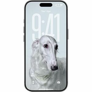 iPhone 17 Pro Max 2TB Silver