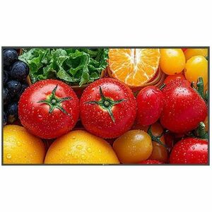 AG Neovo QM5503 1386,84 mm LCD Digital-Signage-Display - 24 Stunden/7 Tage Betrieb - Vertical-Alignment-Technologie (VA) -