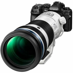 Olympus M.ZUIKO DIGITAL - 150 mm to 400 mm - f/22 - f/4.5 - Telephoto, Ultra Telephoto, Teleconverter Zoom Lens - 95 mm At