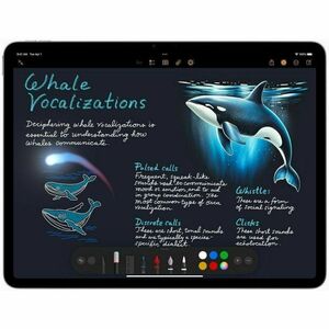 Apple iPad Air 13 (2026) Tablet - 33 cm (13 Zoll) - 12 GB - 256 GB - Grau - M4 Octa-Core - 600 cd/m² - 2732 x 2048 - IPS-T