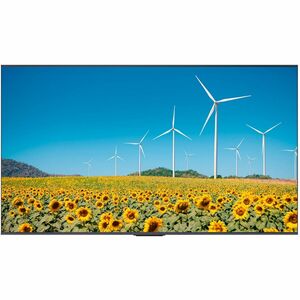 Hisense 75DP30FE 4K UHD Digital Signage Display - 16/7 Operation - 75" LCD - Advanced Super Dimension Switch ( ADS ) - 16 