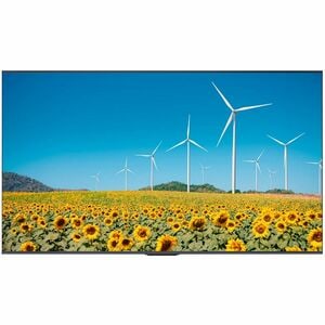 Hisense 50DP30FE 4K UHD Digital Signage Display - 16/7 Operation - 50" LCD - Vertical Alignment (VA) - 16 Hours/ 7 Days Op