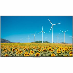 Hisense 43DP30FE 4K UHD Digital Signage Display - 16/7 Operation - 43" LCD - Advanced Super Dimension Switch ( ADS ) - 16 