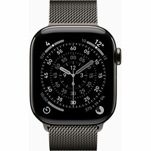 Watch Series 11 GPS + Cellular 42mm Slate Titanium Case with Slate Milanese Loop