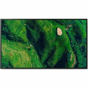 Sony Pro Bravia FW43BZ35PB 1092.20 mm LCD Digital Signage Display - 24 Hours/7 Days Operation - Energy Star - In-plane Swi
