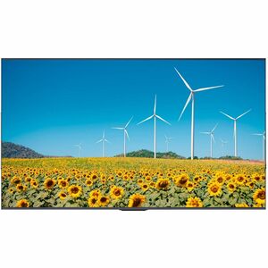 Hisense 65DP30FE 4K UHD Digital Signage Display - 16/7 Operation - 65" LCD - Advanced Super Dimension Switch ( ADS ) - 16 