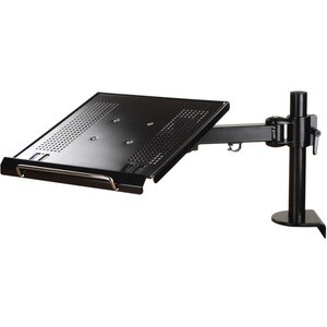 Newstar Desk Mount (clamp) for Laptop, Height Adjustable - Black - Height Adjustable - 25.4 cm to 55.9 cm (22") Screen Sup