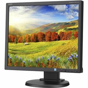 NEC Display MultiSync EA193MI-BK 19" SXGA LED LCD Monitor - 5:4 - Black - 19.00" (482.60 mm) Class - Advanced High Perform