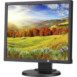 NEC Display MultiSync EA193Mi 19" Class SXGA LCD Monitor - 5:4 - Black - 48.3 cm (19") Viewable - In-plane Switching (IPS)