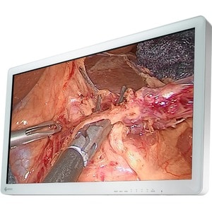 EIZO CuratOR EX3220 Full HD LCD Monitor - 16:9 - White - 31.5" Viewable - LED Backlight - 1.07 Billion Colors - 650 Nit - 