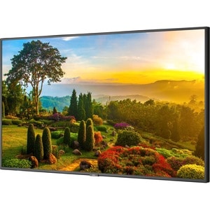 NEC Display Ultra High Definition Professional Display - 55" LCD - Touchscreen - High Dynamic Range (HDR) - 3840 x 2160 - 