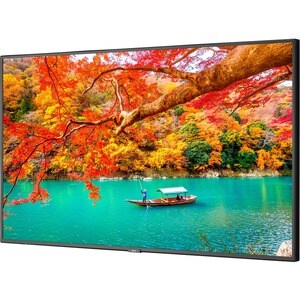 Sharp NEC Display MA431-MPI4E Digital Signage Display/Appliance - 43" LCD - High Dynamic Range (HDR) - 3840 x 2160 - Edge 