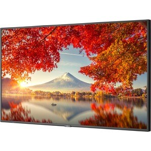 Sharp NEC Display MA551-MPI4E Digital Signage Display/Appliance - 55" LCD - High Dynamic Range (HDR) - 3840 x 2160 - Edge 