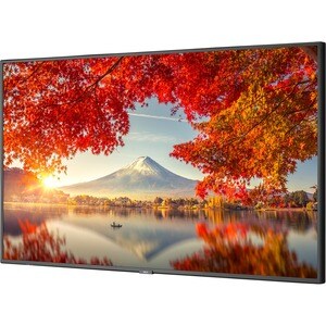 NEC Display MA551-IR Digital Signage Display - 55" LCD - Touchscreen - High Dynamic Range (HDR) - 3840 x 2160 - Edge LED -