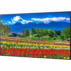 Sharp NEC Display 75" Ultra High Definition Professional Display - 75" (1905 mm) LCD - In-plane Switching (IPS) Technology