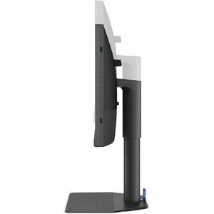 BenQ Photographer SW242Q 24" Class WQXGA LED Monitor - 16:10 - 24.1" Viewable - In-plane Switching (IPS) Technology - LED 