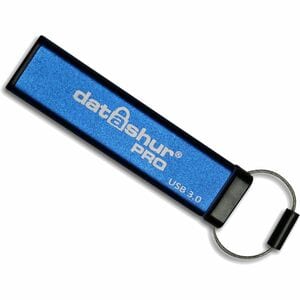 Lecteur flash iStorage - 256 Go - USB 3.2 (Gen 1) - 256-bit AES - 170 Mo/s Read Speed - 146 Mo/s Write Speed