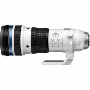 Olympus M.ZUIKO DIGITAL - 150 mm to 400 mm - f/22 - f/4.5 - Telephoto, Ultra Telephoto, Teleconverter Zoom Lens - 95 mm At