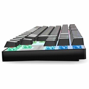 CHERRY MX 8.2 TKL Gaming Keyboard - Tenkeyless - Wired/Wireless Connectivity - USB Type A Interface - RGB LED - English (U