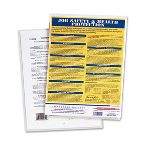 Fellowes ImageLast Thermal Laminating Pouches - Sheet Size Supported: Letter 9" Width x 11.50" Length - Laminating Pouch/S