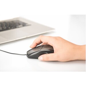 Ednet Mouse - USB - Optical - 3 Button(s) - Black - 1 - Cable - 800 dpi - Scroll Wheel - Symmetrical