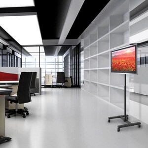 Tripp Lite series DMC1342S Mobile TV Stand, 13" to 42" TVs and Monitors - Up to 42" Screen Support - 44 lb (19958.06 g) Lo