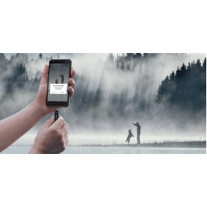 SanDisk Ultra Dual Drive Go USB Type-C 256GB - 256 GB - USB 3.1 (Gen 1) Type C, USB 3.1 (Gen 1) Type A - 150 MB/s Read Spe