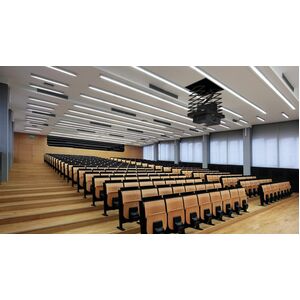 PPL 2500 PROJECTOR LIFT SYSTEM .