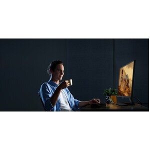 BenQ EW3270U 32" Class 4K UHD Gaming LCD Monitor - 16:9 - Metallic Grey - 80 cm (31.5") Viewable - Vertical Alignment (VA)