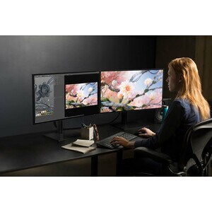 HP DreamColor Z25xs G3 25" WQHD LED LCD Monitor - 16:9 - Black, Turbo Silver - 25" Class - In-plane Switching (IPS) Techno