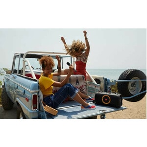 JBL PartyBox On-The-Go Portable Bluetooth Speaker System - 100 W RMS - Black - 50 Hz to 20 kHz - Battery Rechargeable - US