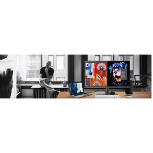 BenQ PD3205U 32" Class 4K UHD LCD Monitor - 16:9 - Grey - 80 cm (31.5") Viewable - In-plane Switching (IPS) Technology - L