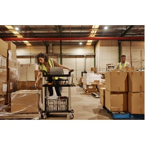 HP Pro mt440 G3 14" Thin Client Notebook - Full HD - Intel Celeron 7305 - 8 GB - 256 GB SSD - Intel Chip - 1920 x 1080 - W